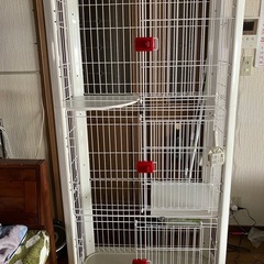 猫ケージ
の画像