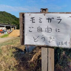 もみ殻譲ります。の画像