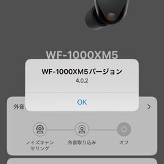 SONY WF-1000XM5 イヤホン右耳(R)のみ！の画像