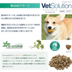 VetSolution 糖尿病サポート療法食　3kgの画像