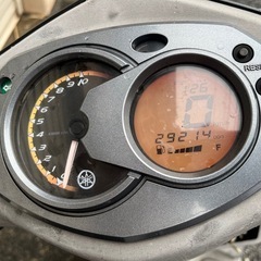 台湾シグナス　不動の画像