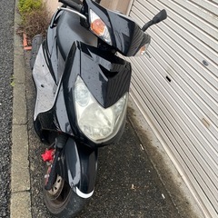 台湾シグナス　不動の画像