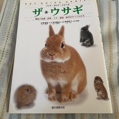 【11月中旬頃までの出品】小動物 うさぎ ケージ、キャリーバッグ、本、お世話グッズの画像