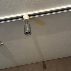 ダウンライト 電気 4つセットの画像