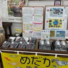 給水ノズル　排水パイプの画像