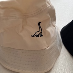 譲り先決定/恐竜さんハット/大人用の画像