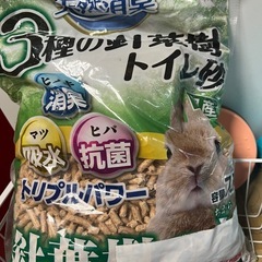 うさぎ用のペレット、チモシー等あげます。の画像
