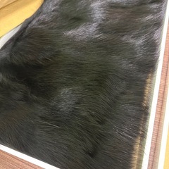 カシミヤショールの画像