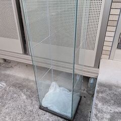 IKEAデトルフの画像