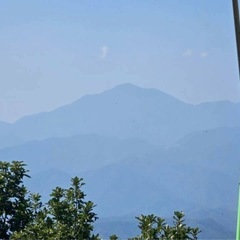 明日高尾山に行きませんか。