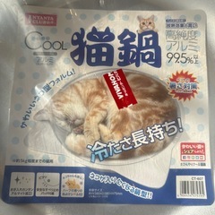 ひんやりクール猫鍋　　の画像