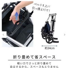 ペットカートの画像