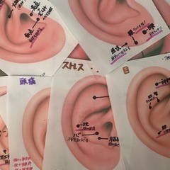 耳つぼジュエリー講座　16000円の画像