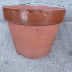 植木鉢まとめて5個の画像