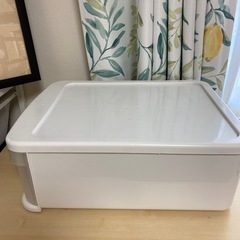 ⚠️衣装ケースではありません⚠️引き出しケースの画像