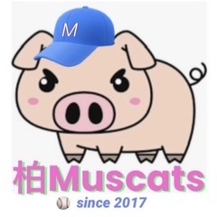 草野球　平日活動メンバー、ピッチャー及びマネージャー募集