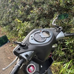 国内モデル シグナスx2型カスタムの画像