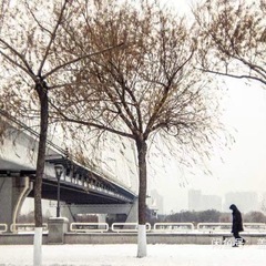 m43 小穴イメージングレンズの画像