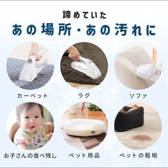 リンサークリーナー アイリスオーヤマ  の画像
