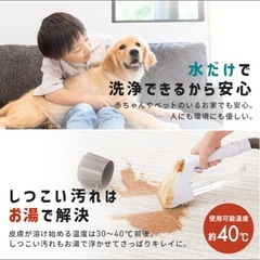 リンサークリーナー アイリスオーヤマ  の画像