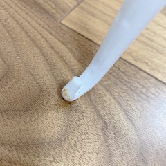 ワイヤートルソー(レディース)の画像