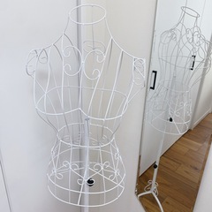 ワイヤートルソー(レディース)の画像