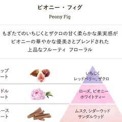 【SABON】　PEONYFIG ボディスクラブの画像