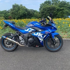 GSX-250Rの画像