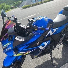 GSX-250Rの画像