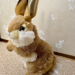 ハンサ　うさぎのぬいぐるみの画像