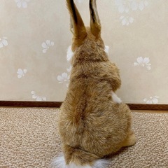 ハンサ　うさぎのぬいぐるみの画像