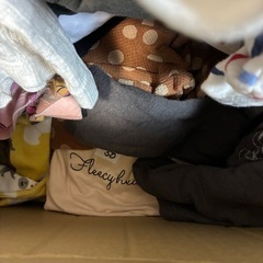 洋服　大量　ダンボール1箱まとめ　メンズ　レディース　キッズの画像