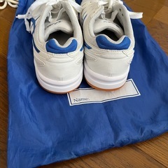 体育館しゅーシューズの画像