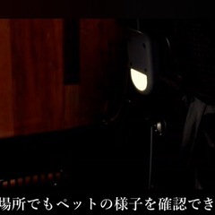 ペットキャリーの画像
