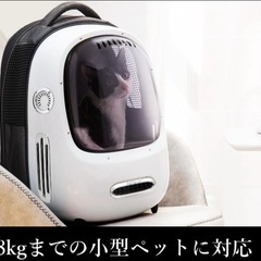 ペットキャリーの画像