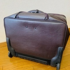 キャリーケース　aceの画像