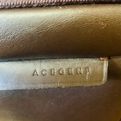 キャリーケース　aceの画像