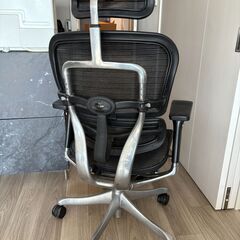 エルゴヒューマン フォイスチェアの画像