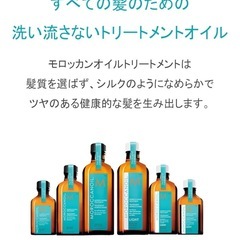 新品未開封ギフトバッグ付き＊モロッカンオイル100mlの画像