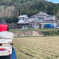 玄米20kg美味しさを追求した「ひのひかり」⑤の画像