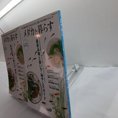 【新品】メダカと暮らすの画像