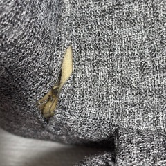 ソファーベットの画像