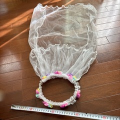 ハロウィン仮装レースの画像
