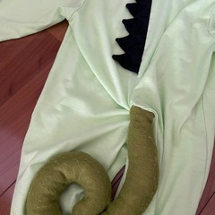 パスカル　ラプンツェル　80cm 衣装　Dハロの画像