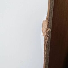 【B357】キッチン収納　レンジ棚　食器棚　可動棚　スライド棚の画像