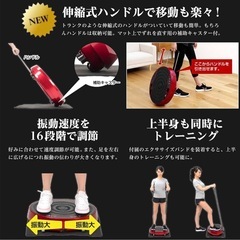 アルインコ　ALINCO FITNESS 振動マシンの画像
