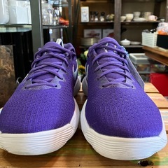 NIKE ハイパーダンクLow 27cm スニーカー　美品の画像