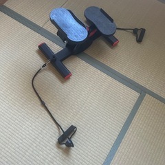 ステッパーの画像