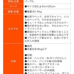 リッチェルコロルお出掛けキャリーＭの画像