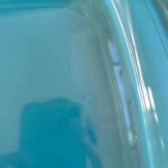 Pyrex ガラス製　オーブントレー 2.8Lの画像